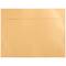 JAM Paper Gold Stardream 9" x 12" Open End Envelopes